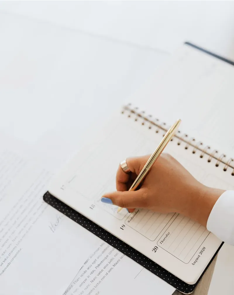 KONZEPT PLANUNG bild